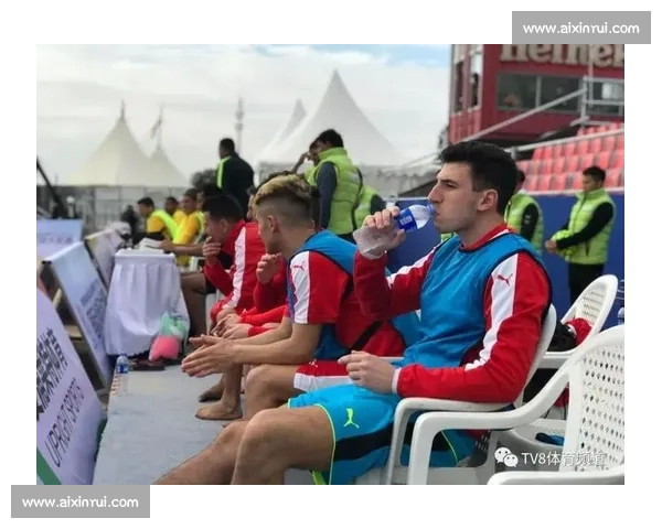 官方集锦：精彩瞬间回顾与深度解析，领略赛事的精彩与激情