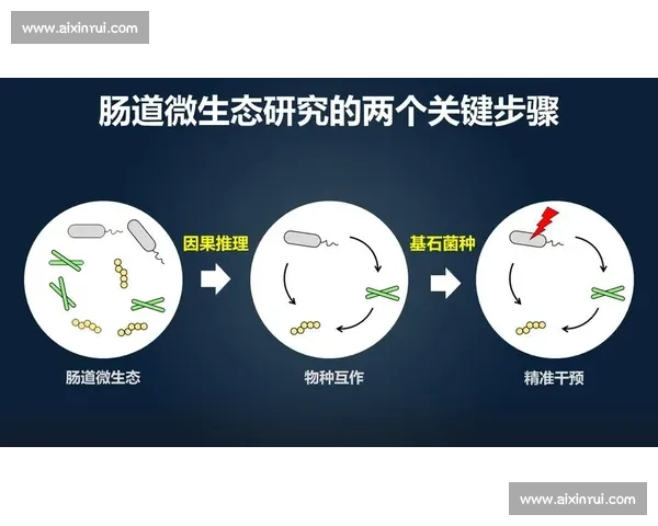精准解析操作流程与关键步骤的实用指南